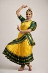 Yellow-green saree model costume