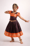 Brown-Orange skirt model