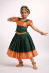 Green-Orange skirt model